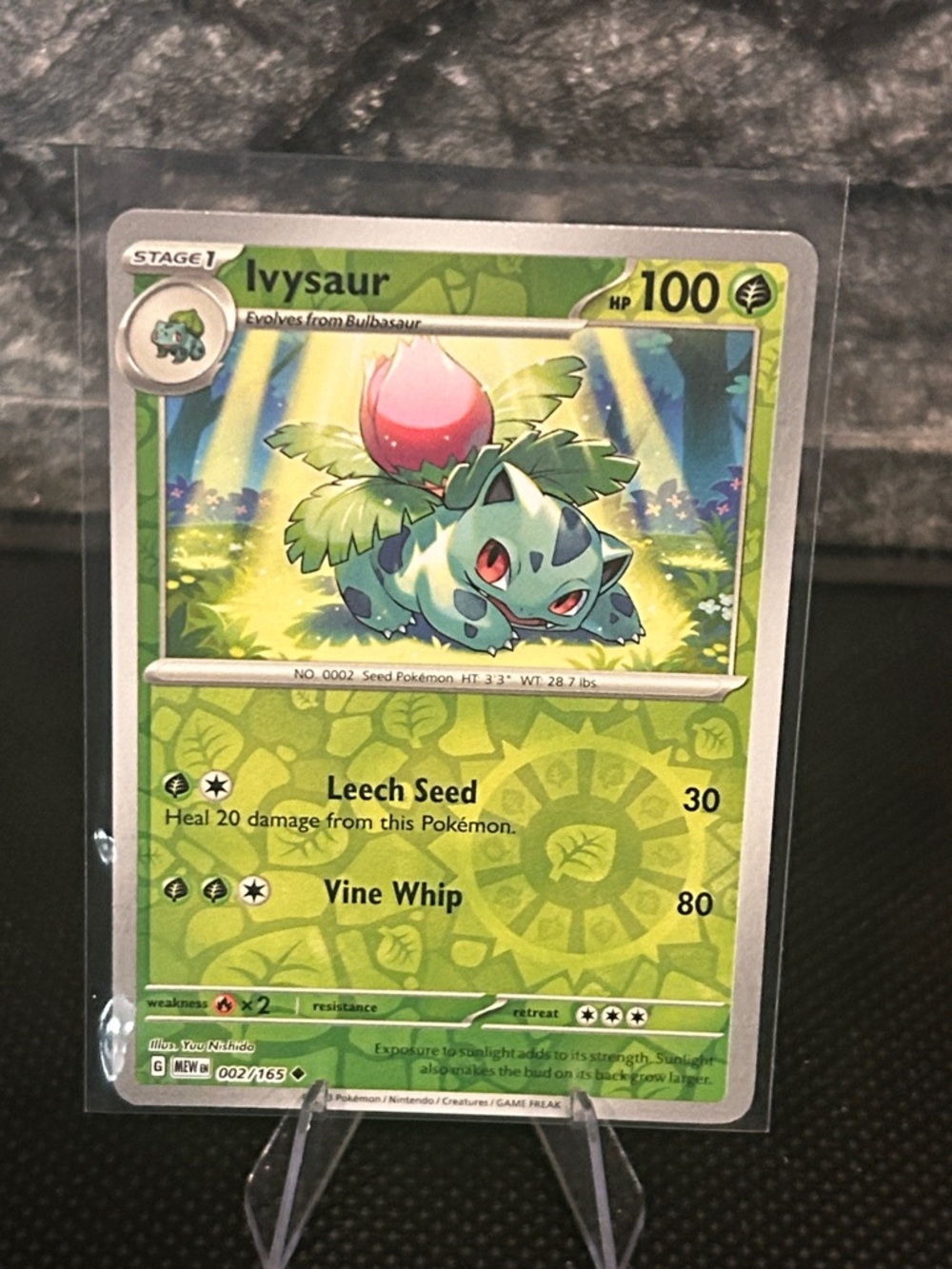 Pokemon Ivysaur Reverse Holo 002/165 from the Scarlet & Violet 151 Set M/NM‎